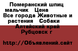 Померанский шпиц, мальчик › Цена ­ 35 000 - Все города Животные и растения » Собаки   . Алтайский край,Рубцовск г.